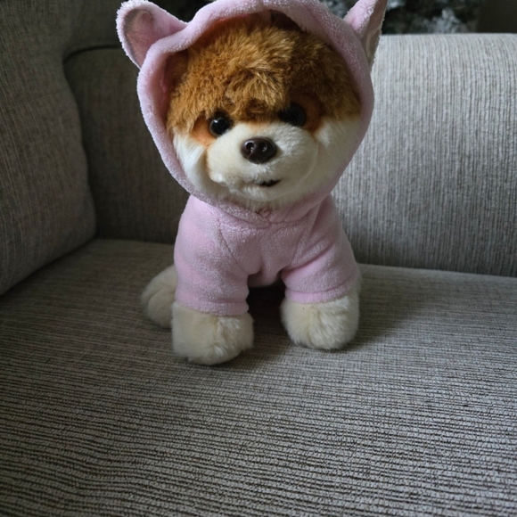 Gund Boo the World's Cutest Dog Pomeranian Toy Plush - Picture 2 of 6